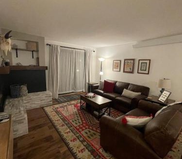 Crested Butte Apartment | Newly Renovated Ski In Ski Out 2BR Condo