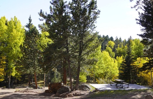 Florissant Apartment | Ponderosa Mtn. Suite - Hiking, Rustic Charm