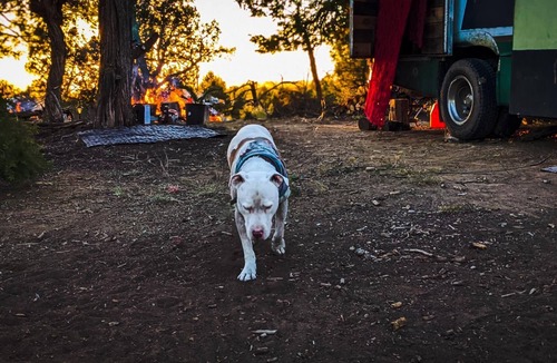 Cortez RV Rental | PRIMITIVE CAMPING W/VIEWS OF MESA VERDE NATIONAL PARK & SLEEPING UTE