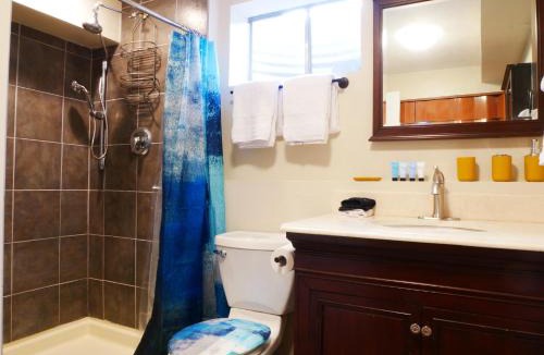 Morrison House | Private Basement, Bath, Living Area In Morrison