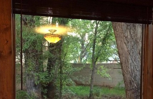 Manitou Springs Cabin | Private CREEKSIDE CABIN! Near Garden of the Gods and Pikes Peak. Pet/420 OK!