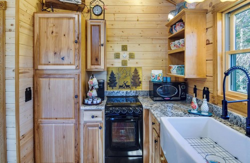 Green Valley Cabin | Private Hot Tub & Pond: Conifer Log Cabin