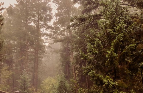 Cascade-Chipita Park House | Private Magical Forest, King Suite, 2 miles to Pikes Peak Hwy and North Pole