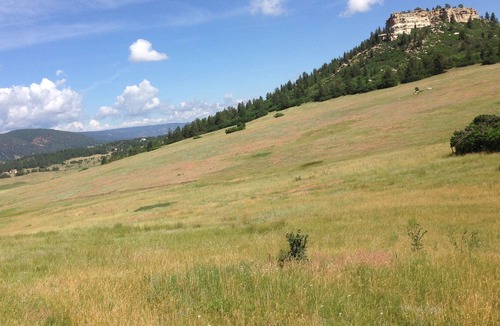 Larkspur House | Private, quiet, modern ranch retreat!