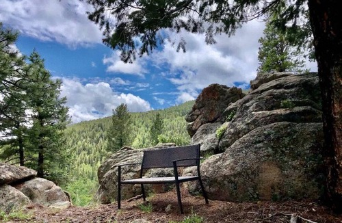 Conifer Mountain and Meadows Resort | Private room ∙ 4 guests