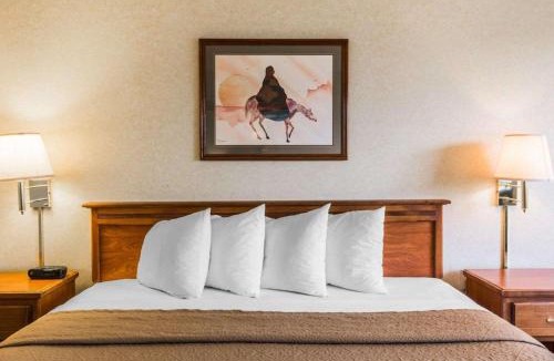 Montrose Hotel | Quality Inn & Suites Montrose - Black Canyon Area