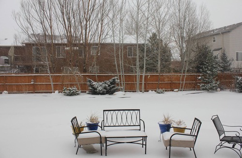 Monument House | Quiet Family Friendly Home near AFA/Downtown Monument/I25 - Great Monthly Rates!
