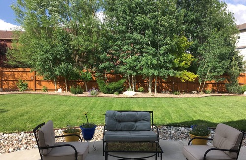 Monument House | Quiet Family Friendly Home near AFA/Downtown Monument/I25 - Great Monthly Rates!