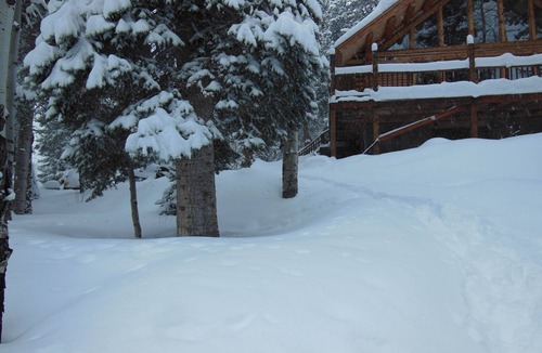 Cimarron Cabin | Quiet Retreat in Aspen Grove
