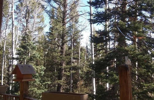 Cimarron Cabin | Quiet Retreat in Aspen Grove