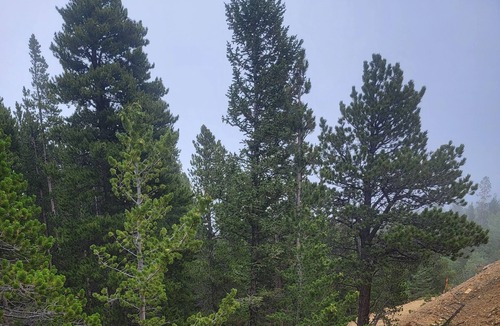 Black Hawk RV Rental | Quiet, Rural, Colorado Mountains Campground