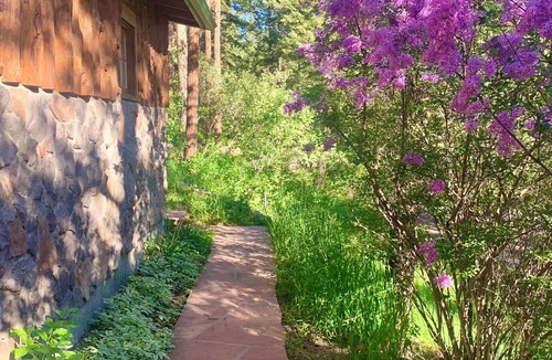 Indian Hills Cabin | Quintessential Colorado Cabin