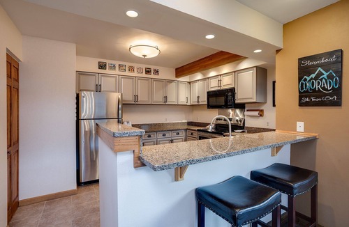 Steamboat Springs Condo | RA401 | Minutes Away from Activities | Tranquil Location | Winter Shuttle