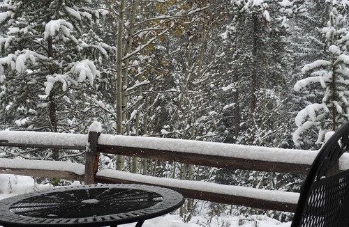 Keystone Condo | -Recently Remodeled- Condo in the Woods, On Resort Shuttle, close to River Run!