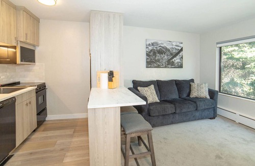 Aspen Condo | Recently Remodeled Studio Condo in the Heart of Aspen
