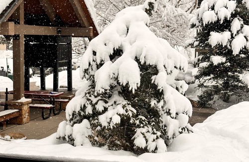 Steamboat Springs Condo | Remodeled Kitchen 2 Bedroom Condo 1/2 Mile from Resort