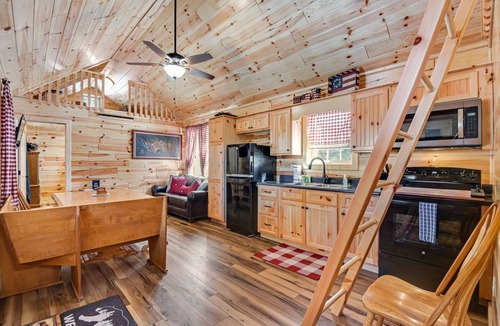 Florissant Cabin | Rural Wood Cabin Surrounded by Trees with WiFi, W/D, & Gorgeous Deck
