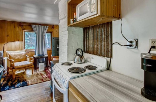 Idaho Springs Cabin | RUSTIC FUNK WATERFRONT Pet Friendly CABIN