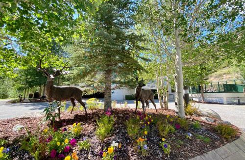 Keystone House | Saints John 2505 by SummitCove Lodging