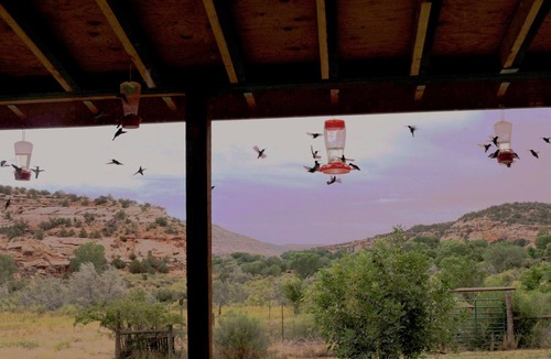 Cortez Cabin | SCENIC CABIN 35Ac Peace&Quiet Creek Pets Hiking 35min-MesaVerde, 5min-SandCanyon