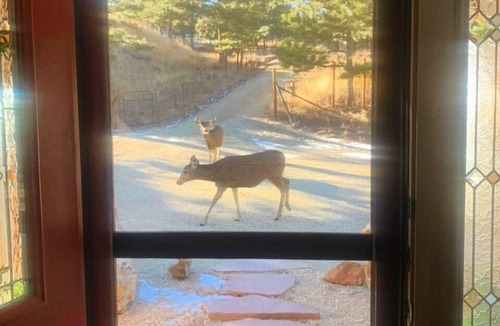 Westcliffe Cottage | Secluded cottage close to town, shops & lake- Deer, Mountains, Stargazing