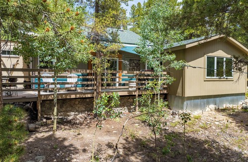 Black Hawk Cabin | Secluded Gorgeous Cabin-Hike- Bike-steps away from Roosevelt National Forest