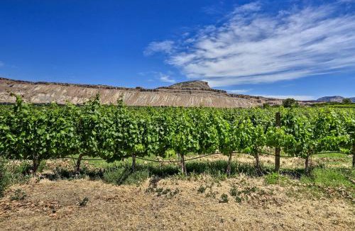 Palisade House | Secluded Home with Patio and Views - 1mi to Vineyards
