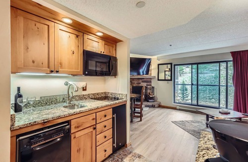 Peak 9 Condo | Ski In, Ski Out, Breckenridge Studio, Dog Friendly