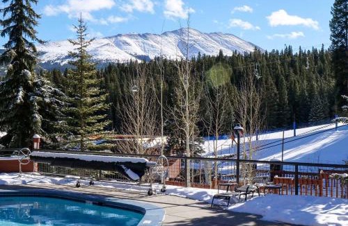 Peak 9 Apartment | Ski In Ski Out Studio Dog Friendly Beaver Run Building 4