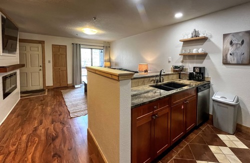 Mount Crested Butte House | Ski-in/Ski-out, 1 bedroom at the heart of the Resort Base Area!