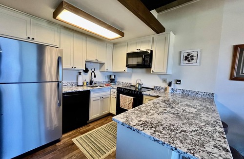 Steamboat Springs Condo | Ski-in/ski-out Mountain Side - Winter Shuttle Wifi Fireplace