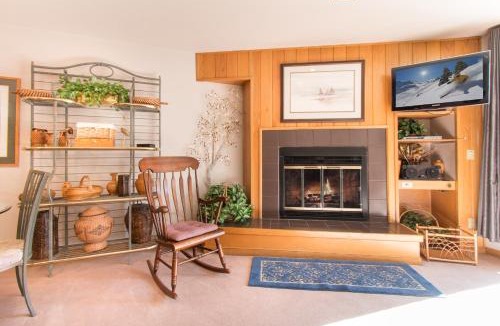 Mountain House Apartment | Ski Run Condominiums 203