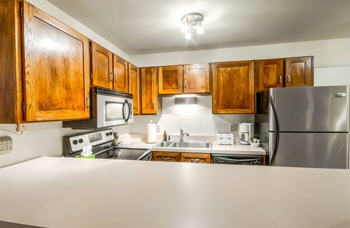 Steamboat Springs Condo | Slopeside 1-Bedroom Condo | Ski-In/Walk-Out!