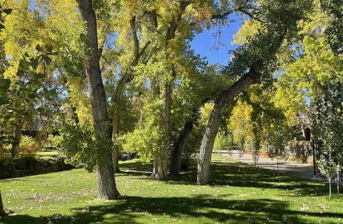 Lakewood Apartment | Spacious, 1 BD guesthouse, w/free parking