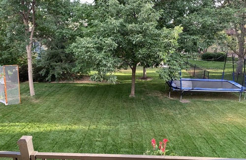 Fort Collins House | Spacious, Bright, Kid Friendly home in Beautiful Fort Collins.