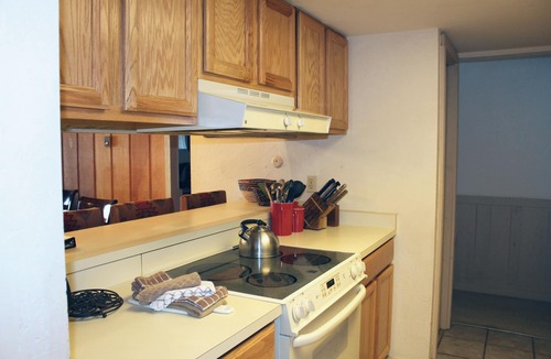 Crested Butte Condo | Spacious Condo; Amazing Views! Ski-in/Out, Dog Friendly. Fireplace, Balcony