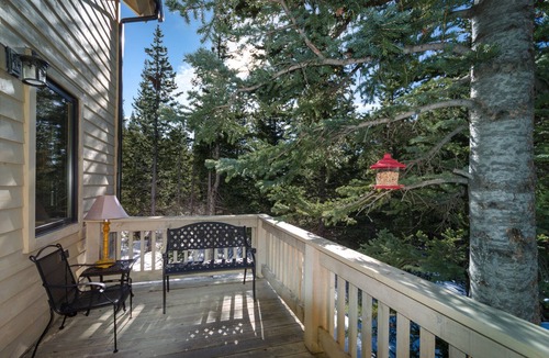 Saint Mary's House | Spacious Luxury Colorado Mountain Lodge! Perfect for Family Reunions & Retreats