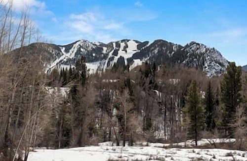 Aspen House | SPECTACULAR 6 BEDROOM HOME ON WILLOUGHBY WAY ASPEN