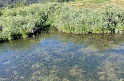 Carbondale House | Streamside Paradise - back to fly fishing and open space