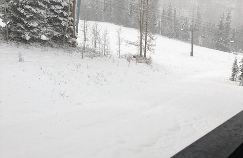 Purgatory Condo | SUMMER TIME FUN OR "ON" the Ski Slope - Not Just Ski-in/Ski Out - Edelweiss #10
