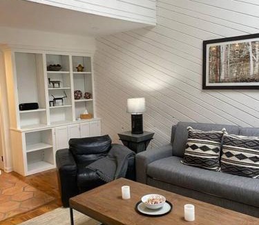 Snowmass Village Apartment | Summit's Rest
