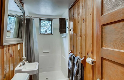 Idaho Springs Cabin | Sweet Pine Waterfront Pet Friendly Cabin