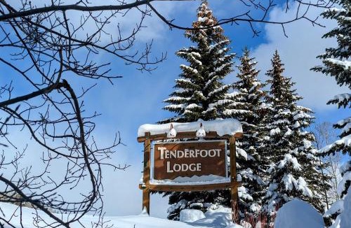 Mountain House House | Tenderfoot Lodge 2620 by SummitCove Lodging
