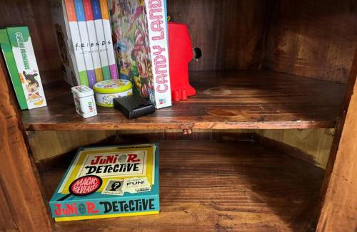Leadville North House | The Air Capitol Cottage