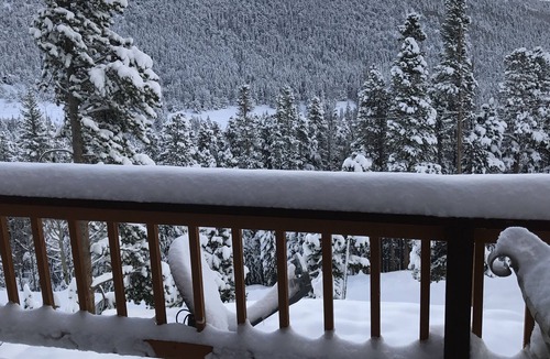 Saint Mary's Cabin | The Alice Cabin in Winterland!