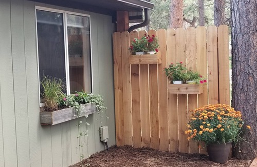 Woodland Park Cabin | The Bunkhouse in the Pines, the Cozy Western Cabin in the Forest