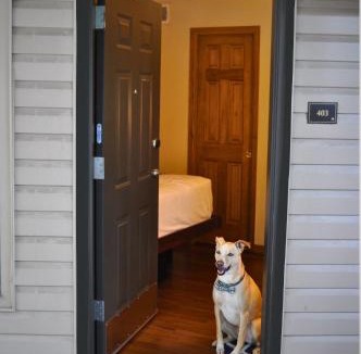 Avon Hotel | The Christie Lodge – All Suite Property Vail Valley/Beaver Creek