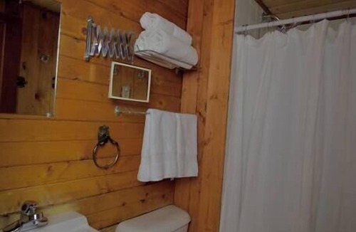 Lake City Cabin | The Lily Cabin with Mountain Views
