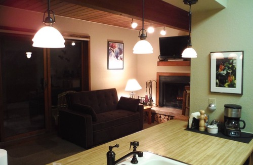 Crested Butte Condo | The LOVE SHACK ♥ Highly rated ♥ - Walk to LIFTS, Hot Tub, the Bus Stops Here!