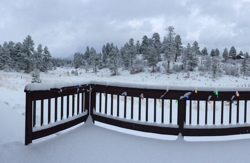 Pagosa Highlands House | The National Forest is your backyard!